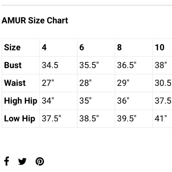 AMUR Metallic Stripe Long Sleeve Dress sz 4 NWT - Picture 15 of 17